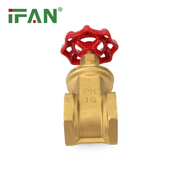 IFAN 81311 شیر برنج دروازه
